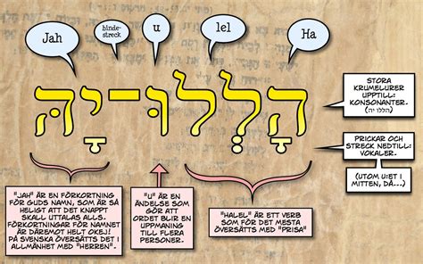 vad betyder tillflykt på hebreiska